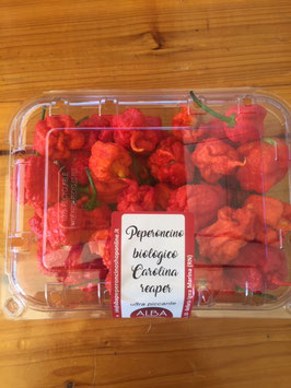 Peperoncino Carolina Reaper Bio