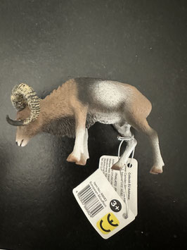 CollectA Europäisches Mufflon