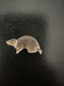 Schleich kleine Ratte von Harry Potter, ohne Schwanz