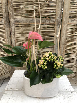 Flamingo trifft Tante Käthe