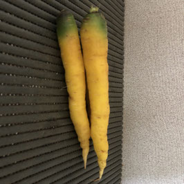 Carottes jaunes