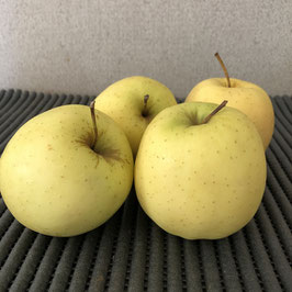 Pommes variété Golden