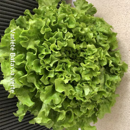 Salade