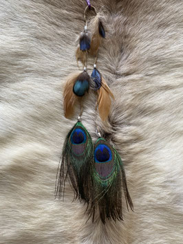 Plume paon marron et bleu