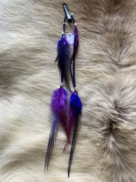 Plume bleu et violette