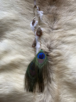 Plume blanche et paon