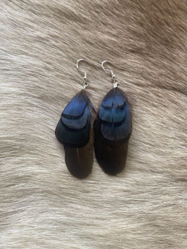 Paire de boucles bleu irisé