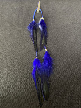 Plume bleu et noir