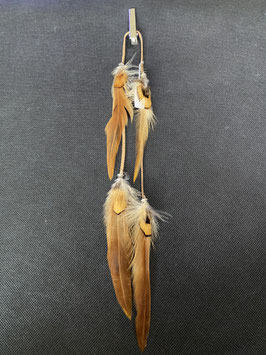 Plume marron