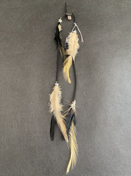 Plume noir et jaune