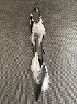 Plume noir et blanc