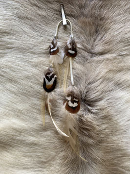 Plume marron 3