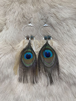 Boucles d'oreilles créoles paon