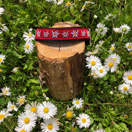 Hundehalsband "Edelweiss rot"