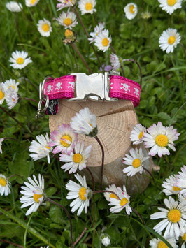 Kleines Hundehalsband "Totenkopf pink"