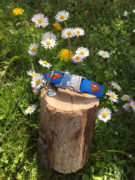 Kleines Hundehalsband "Superman"