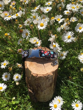 Kleines Hundehalsband "Skull bunt"
