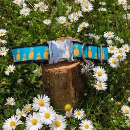 Hundehalsband "Ananas II"