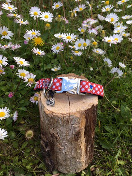 Kleines Hundehalsband "Tracht"