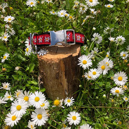 Hundehalsband "Edelweiss rot Nr.2"