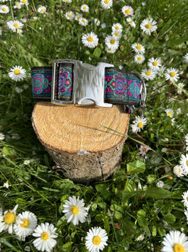 Hundehalsband "Boho 1"