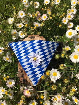 Dreieckstuch Hundehalsband "Raute blau-weiß + Edelweißblüte"