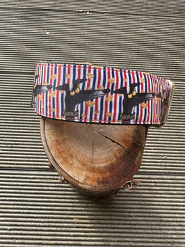 Hundehalsband "Greyhound 1"