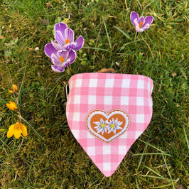 Dreieckstuch Hundehalsband "rosa groß-kariert  + 2 Edelweißblumen im Lebkuchenherz"