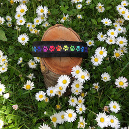 Hundehalsband "Pfötchen Neonfarben"