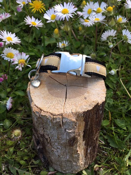 Kleines Hundehalsband "Herzen gold"