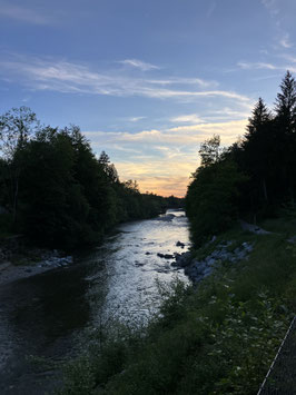 Qi gong mit Wildpflanzenspaziergang