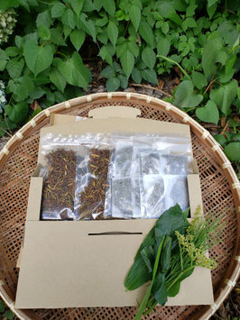 自家製野草茶　おためしバラエティセット③　　各16ｇ×5袋