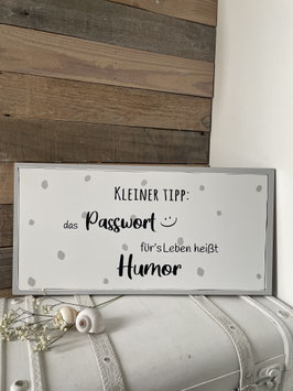 Kleiner Tipp: das Passwort...