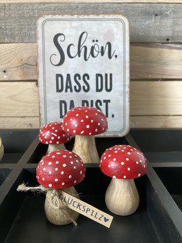 Glückspilz Holz klein