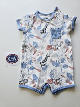 Body J-68-313