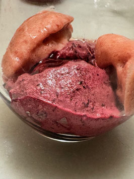 CURSOS DE SORBETES DE FRUTAS o DE HELADOS DE CHOCOLATE