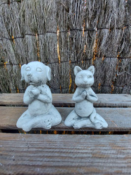 chien et chat de yoga