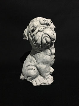 Boxer