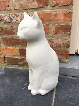 Chat égyptien
