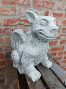 petit dragon