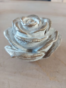 rose medium