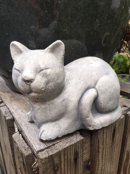 petit chat endormi