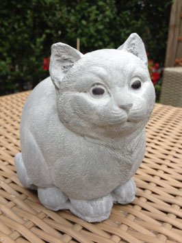 Petit chaton assis