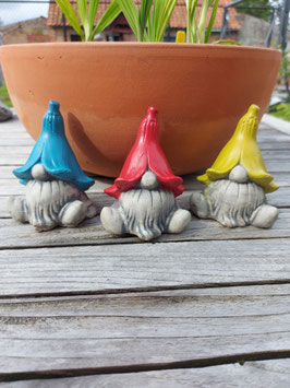mini gnome 1