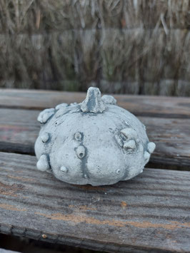 fruit ornemental (1)