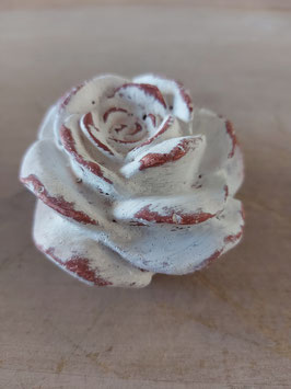 rose  (S)