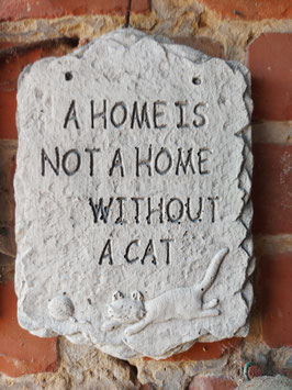 "a home is not a home without a cat"