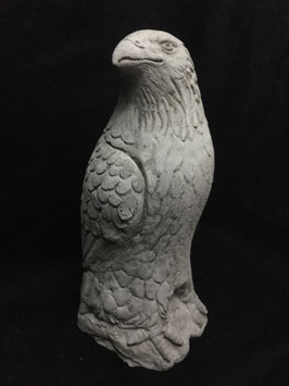 aigle