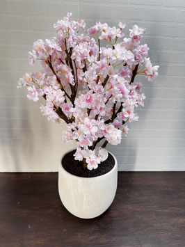 Essence Blossom Pink