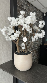 Essence Blossom Pure White